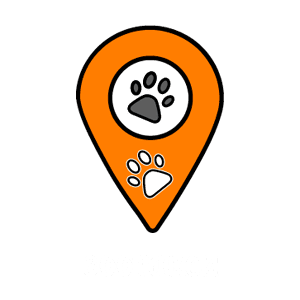 Зоотакси Такси для домашних животных